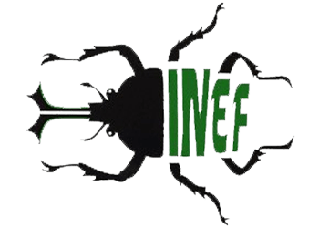 l14