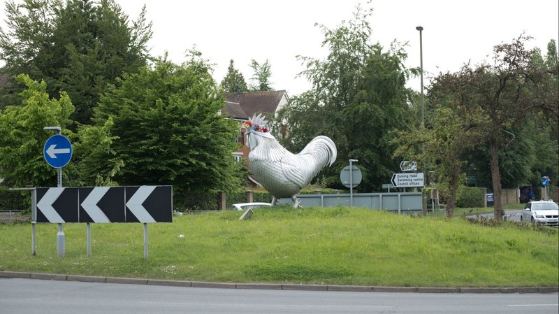 Chicken road, chicken road slot